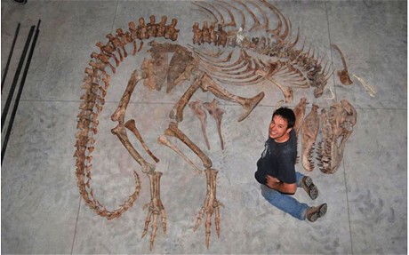 t rex fossil excavation